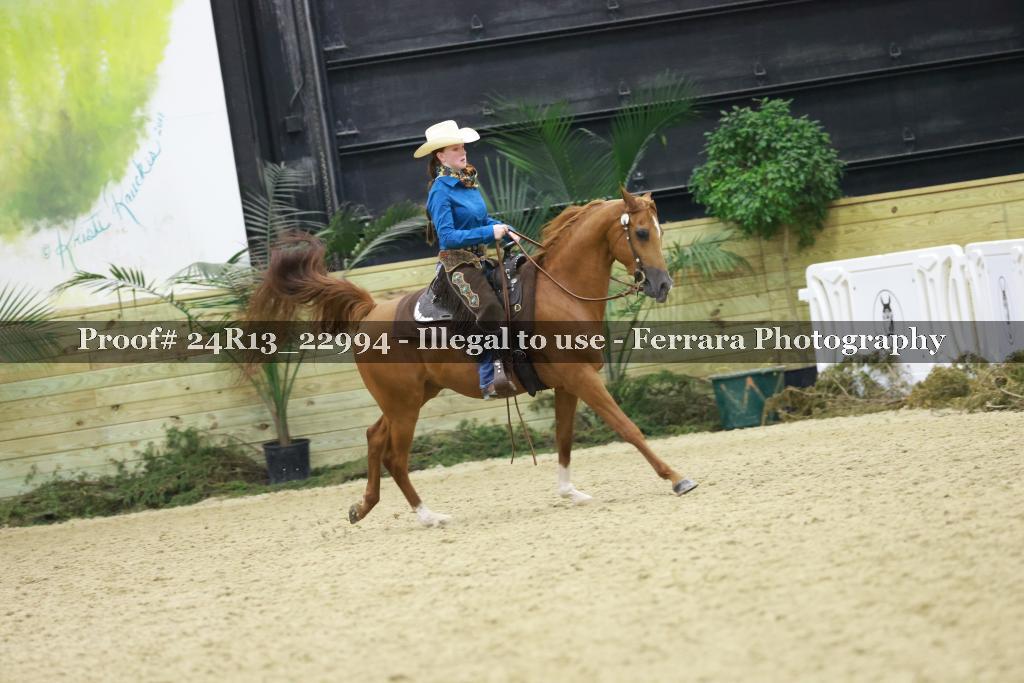 Proof 24R13_22994