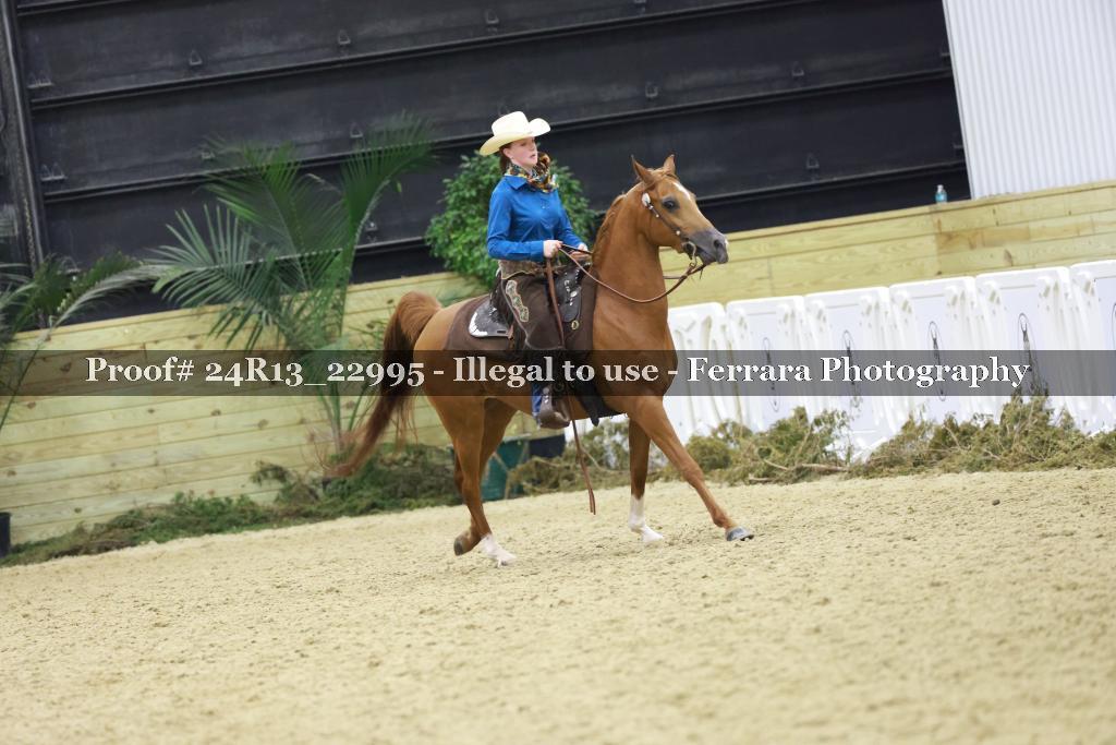 Proof 24R13_22995
