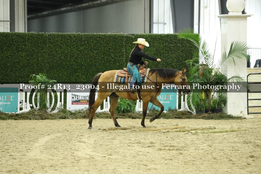 Proof 24R13_23004