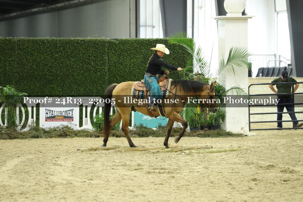 Proof 24R13_23005