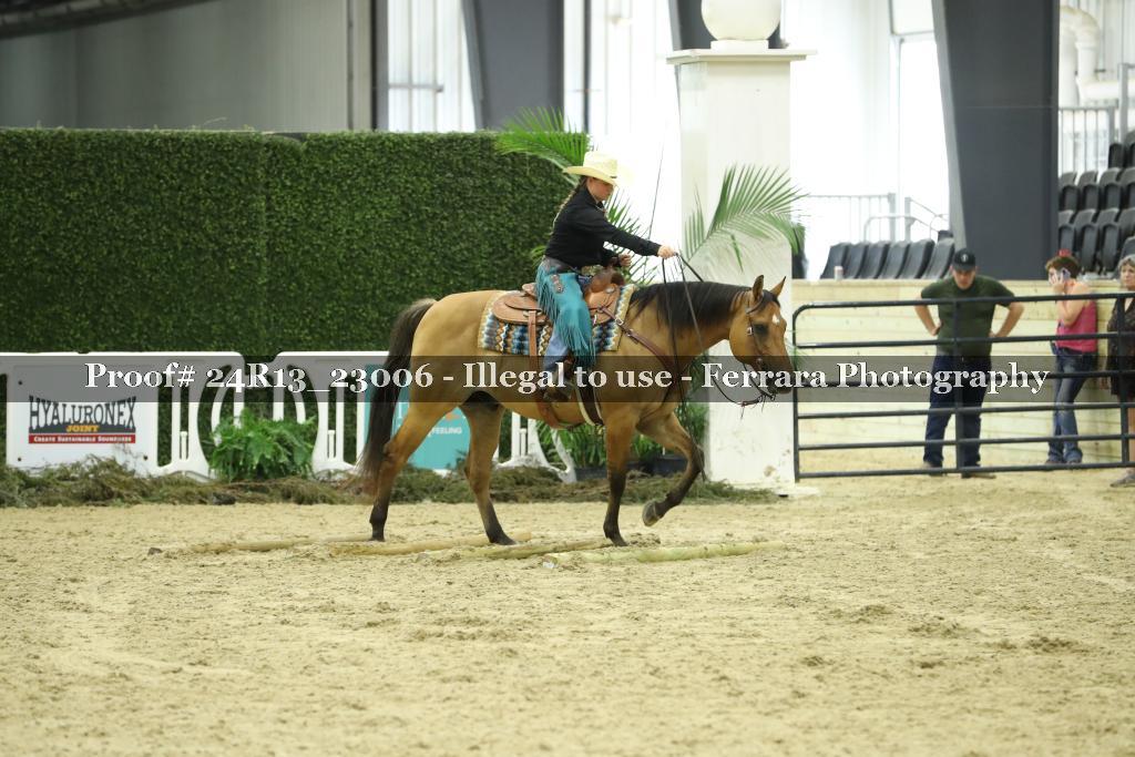Proof 24R13_23006