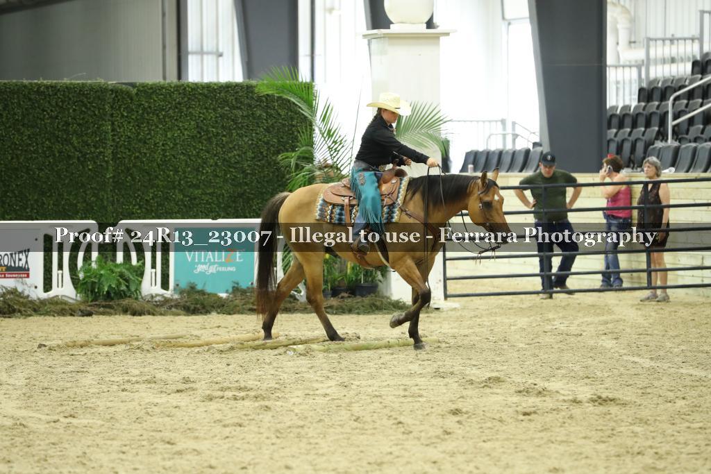 Proof 24R13_23007