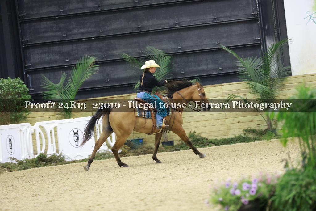 Proof 24R13_23010