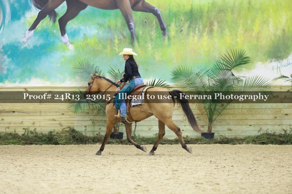 Proof 24R13_23015