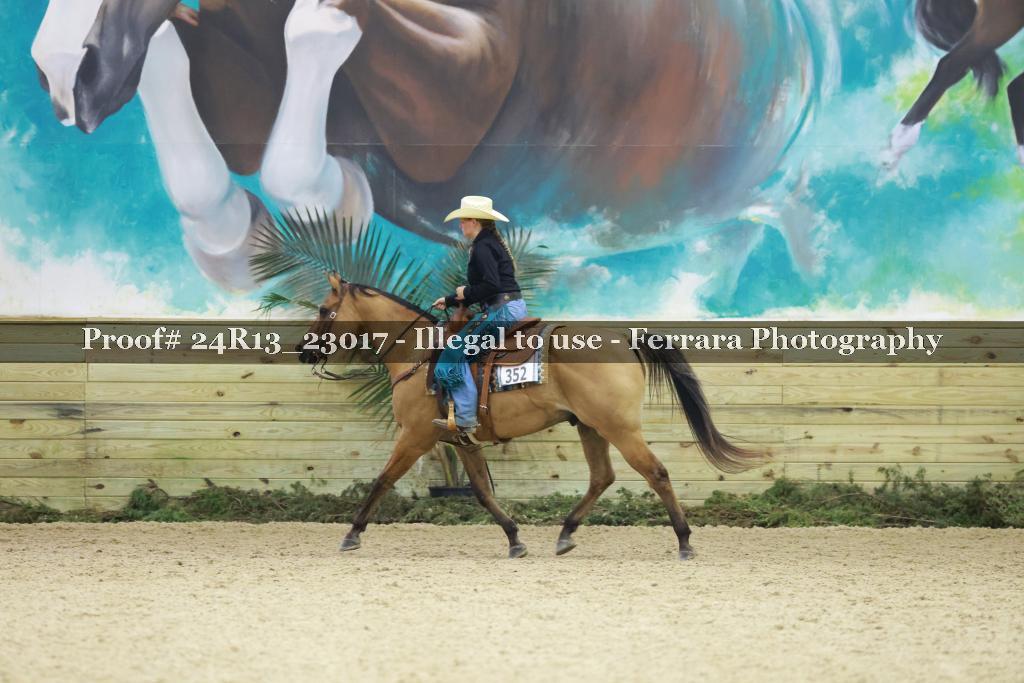 Proof 24R13_23017