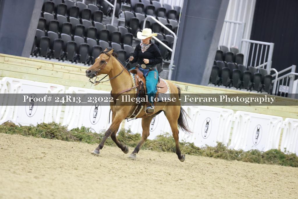 Proof 24R13_23022