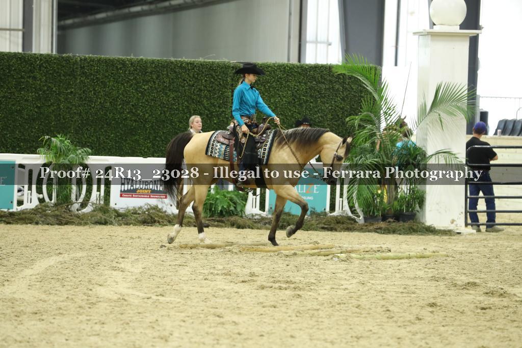 Proof 24R13_23028