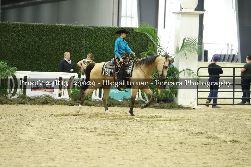 Proof 24R13_23029