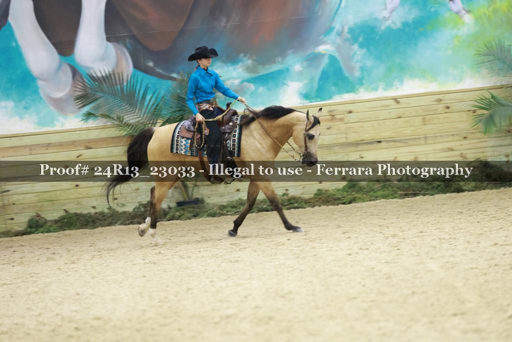 Proof 24R13_23033