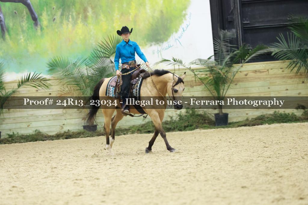 Proof 24R13_23034