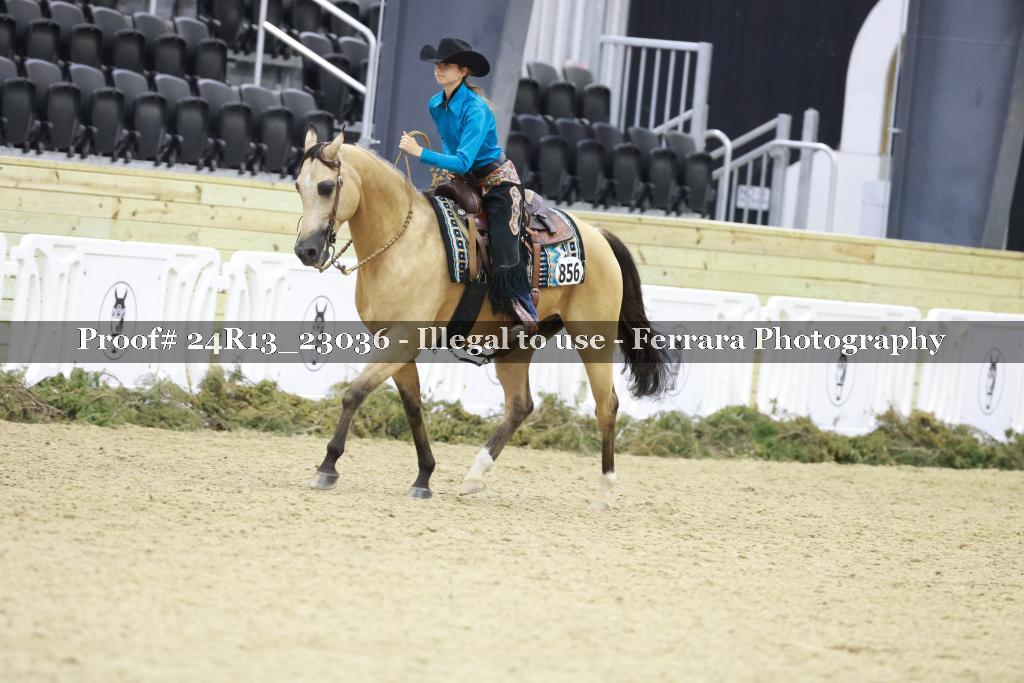 Proof 24R13_23036