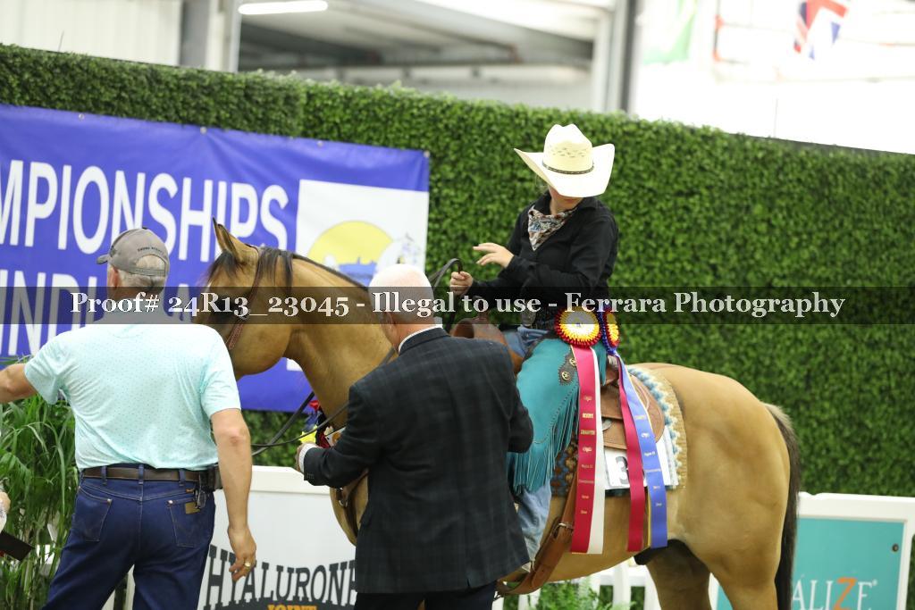 Proof 24R13_23045