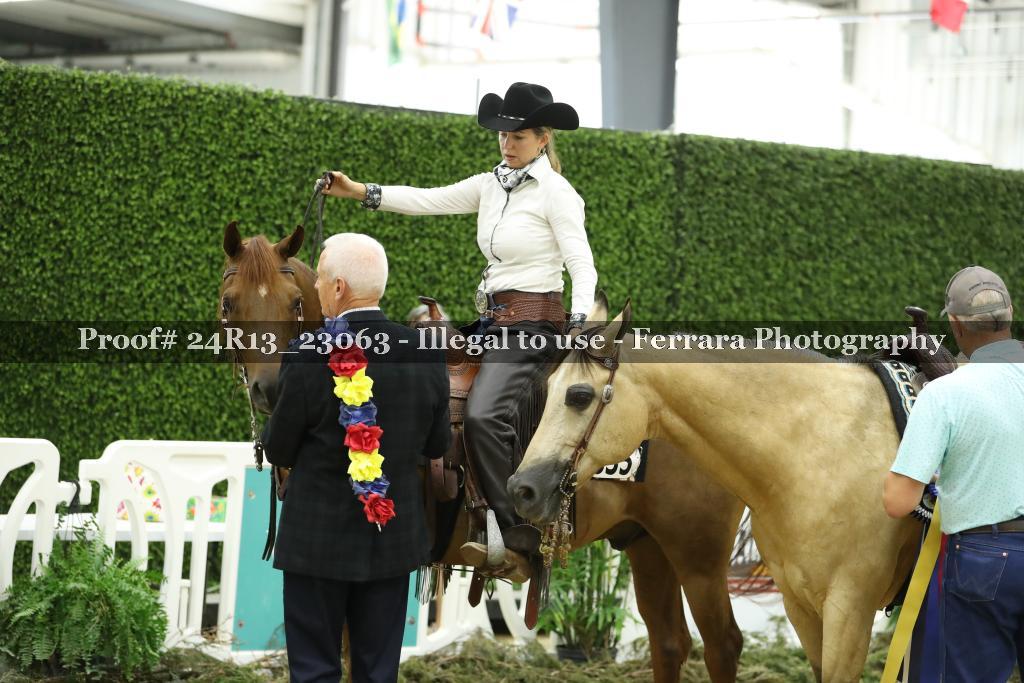 Proof 24R13_23063