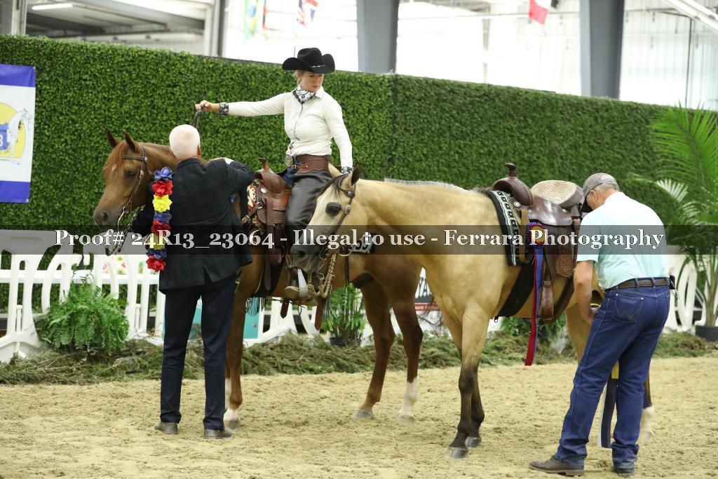 Proof 24R13_23064