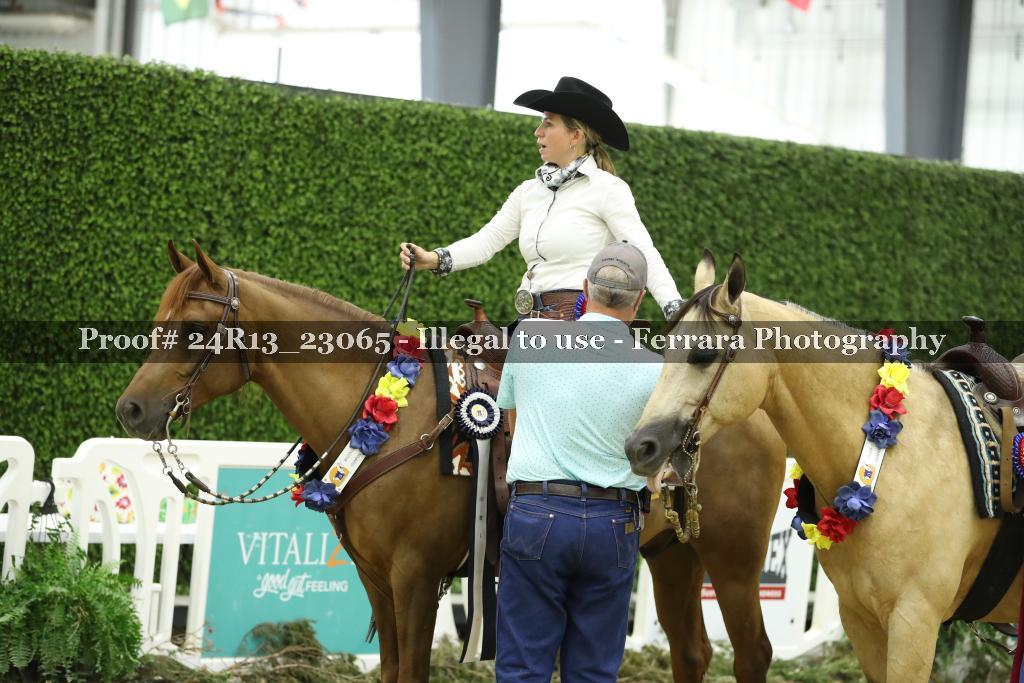 Proof 24R13_23065