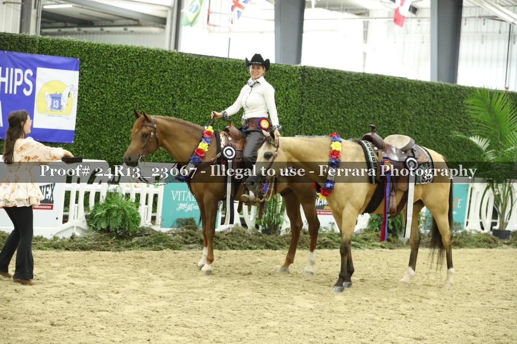 Proof 24R13_23067