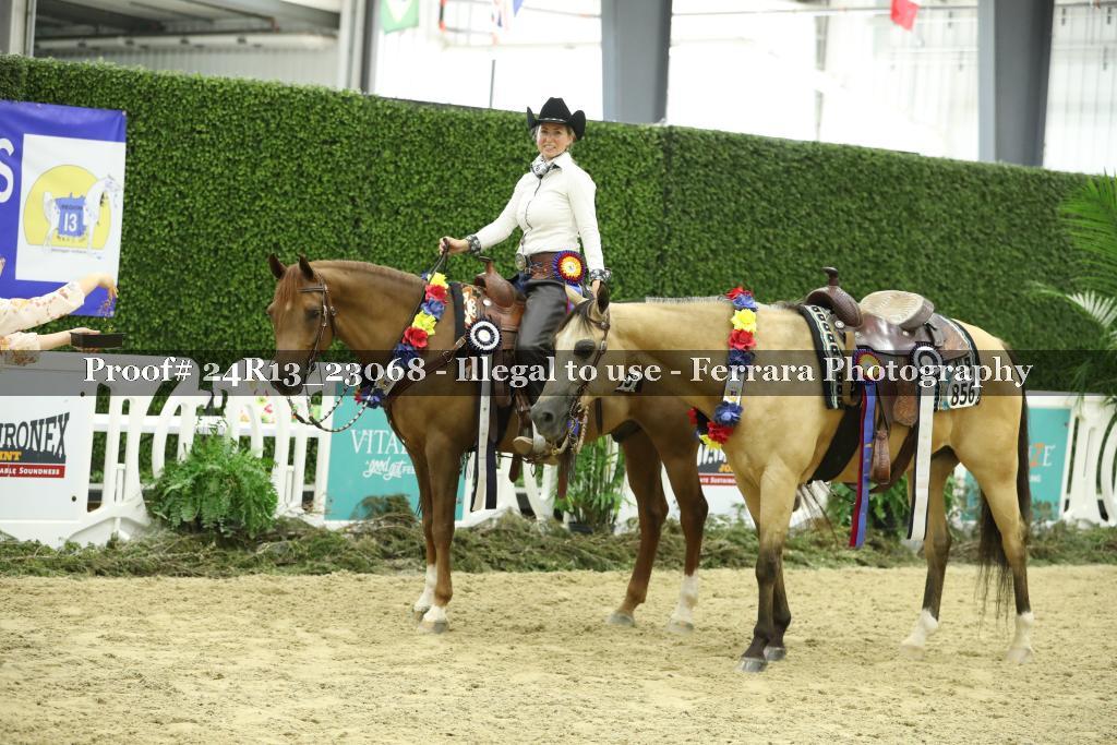 Proof 24R13_23068