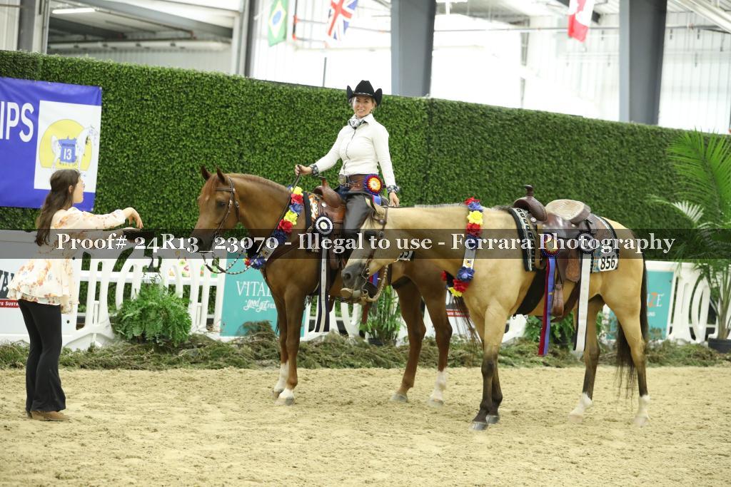 Proof 24R13_23070