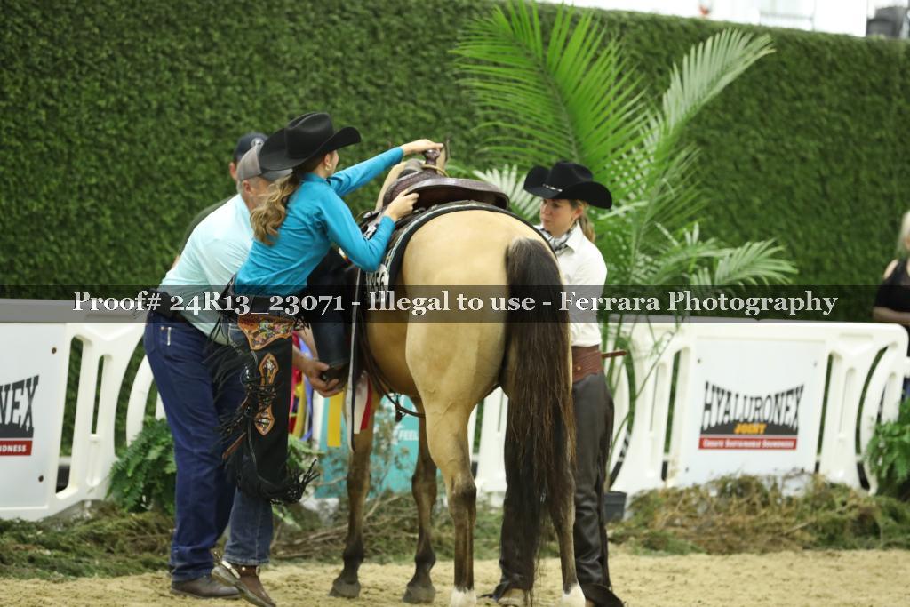 Proof 24R13_23071