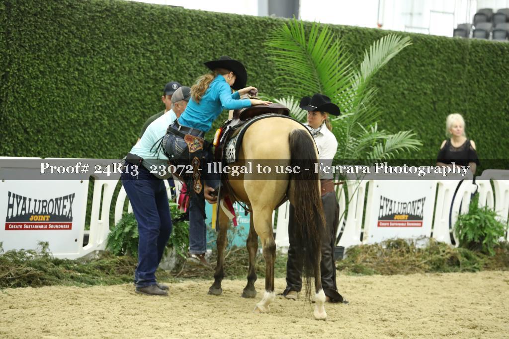 Proof 24R13_23072