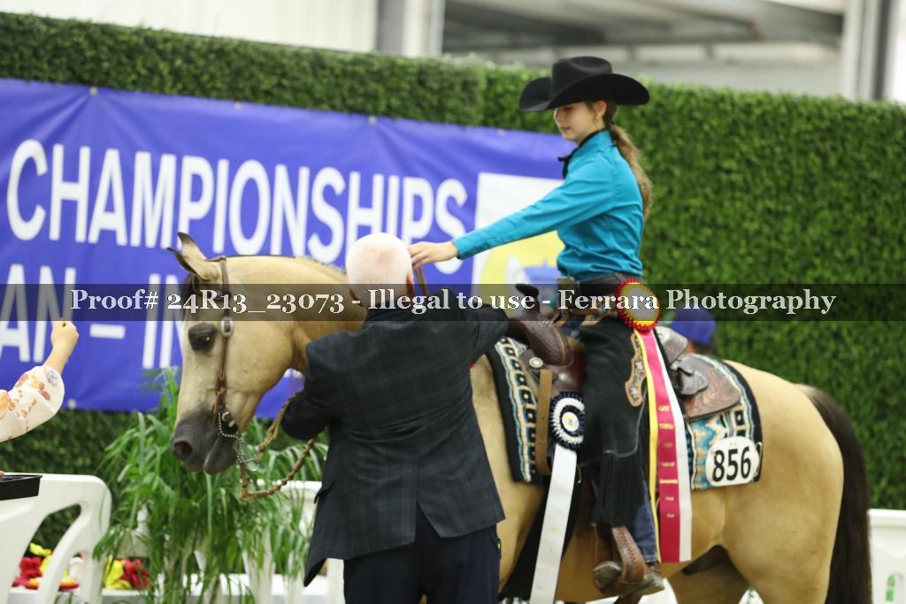 Proof 24R13_23073
