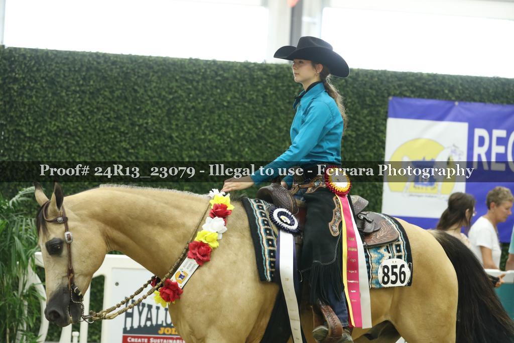 Proof 24R13_23079