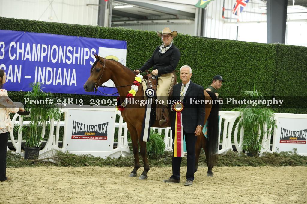 Proof 24R13_23095