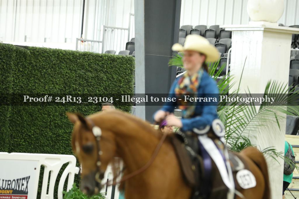 Proof 24R13_23104
