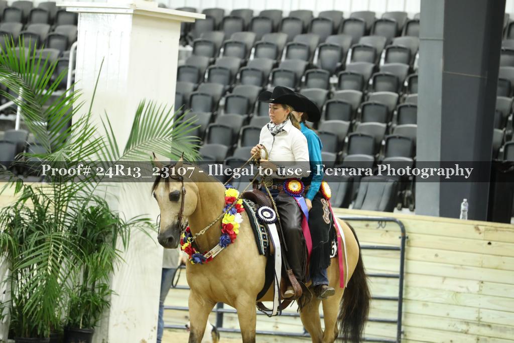Proof 24R13_23107