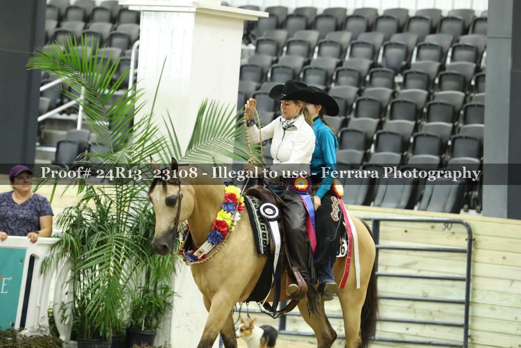 Proof 24R13_23108