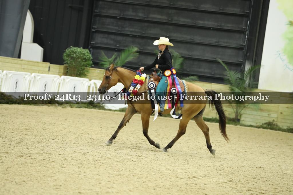 Proof 24R13_23110