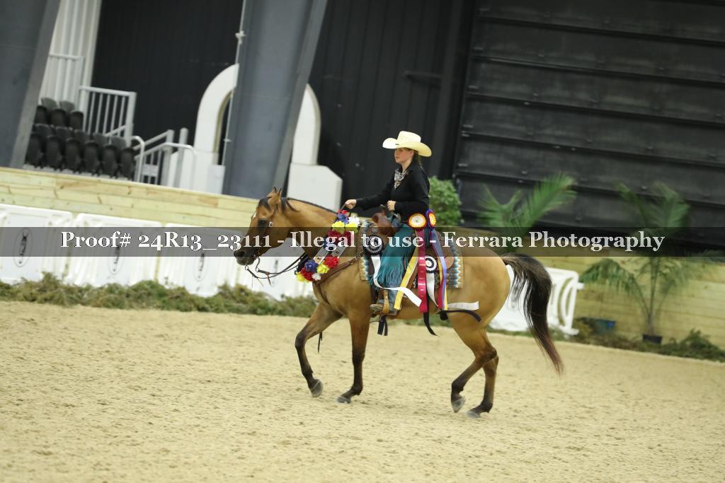 Proof 24R13_23111
