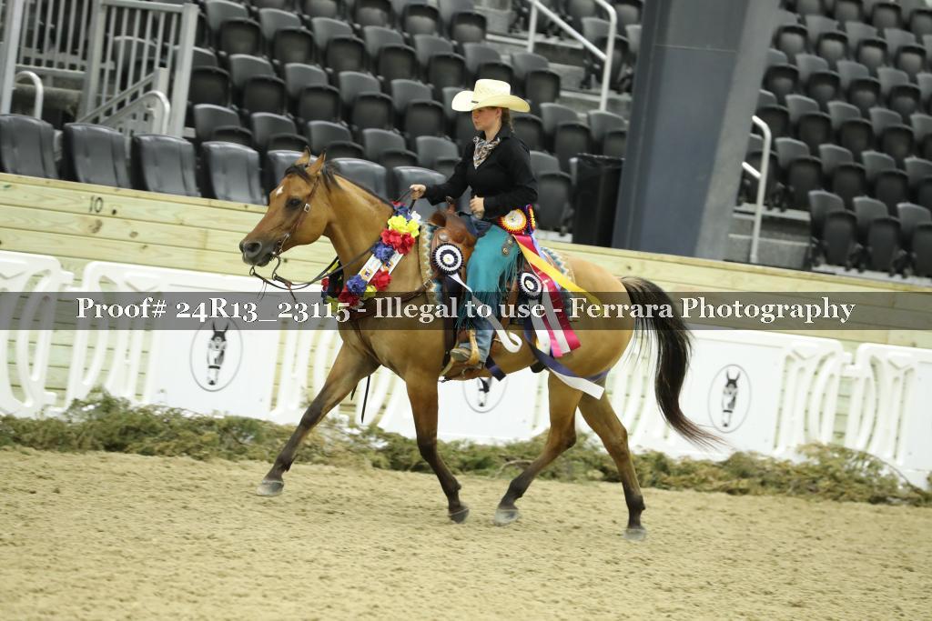 Proof 24R13_23115