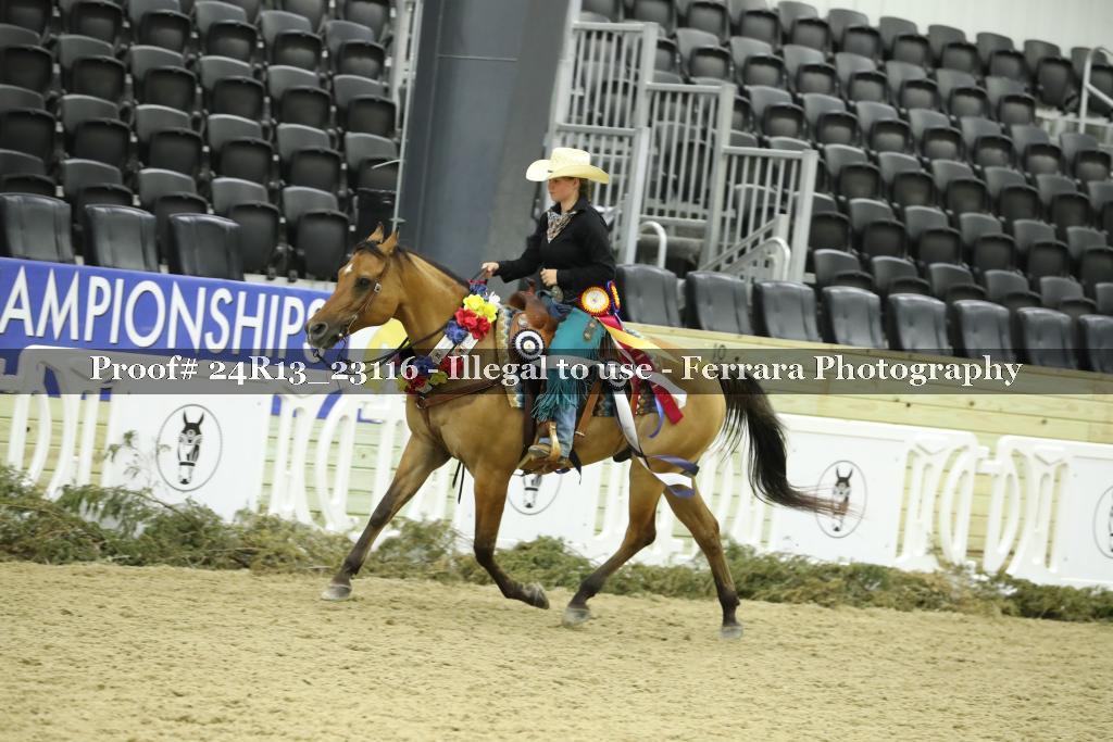 Proof 24R13_23116
