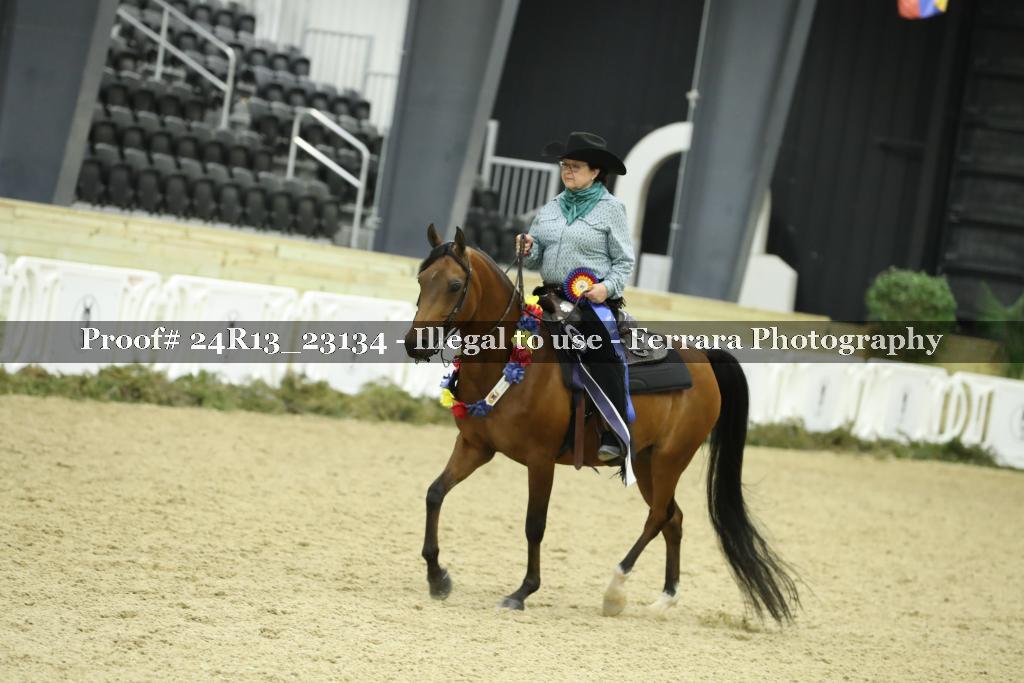 Proof 24R13_23134