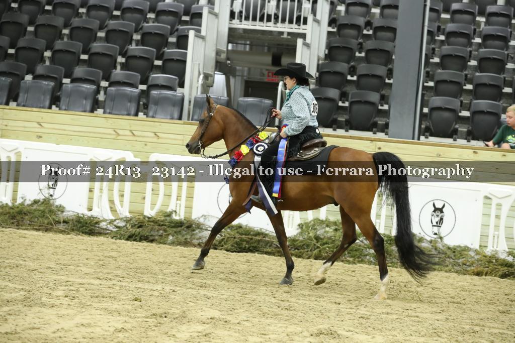 Proof 24R13_23142