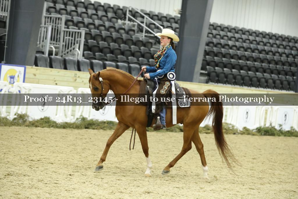 Proof 24R13_23145