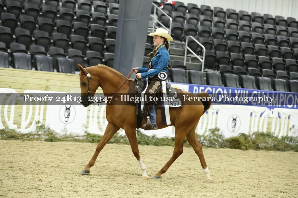 Proof 24R13_23147