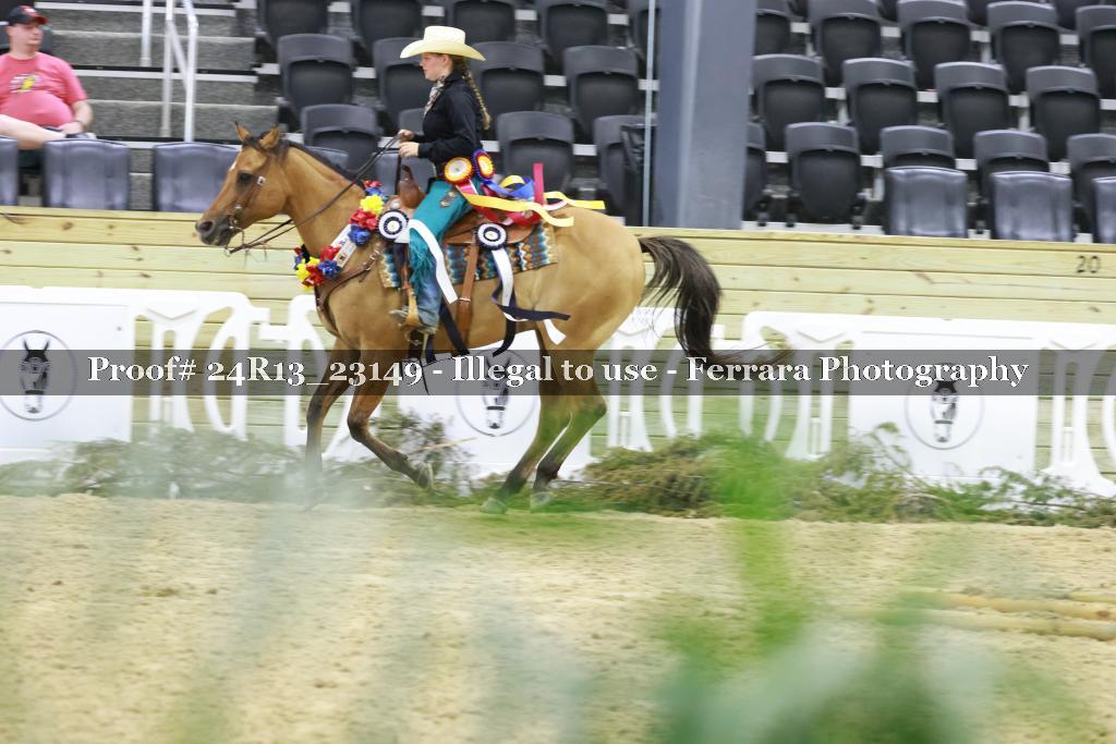 Proof 24R13_23149