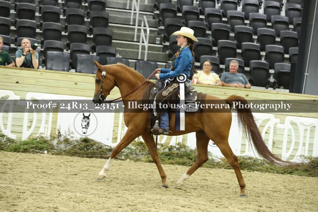 Proof 24R13_23151