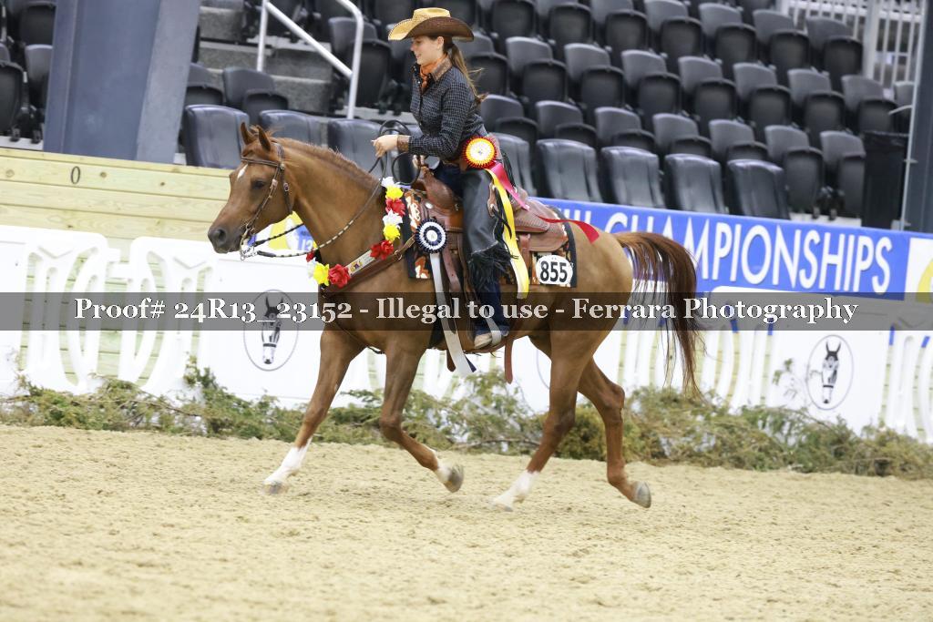 Proof 24R13_23152