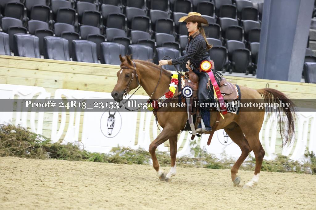 Proof 24R13_23153