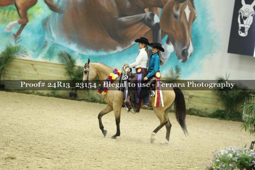 Proof 24R13_23154