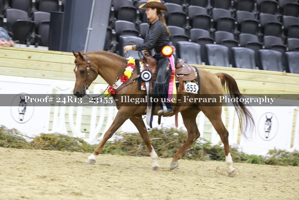 Proof 24R13_23155