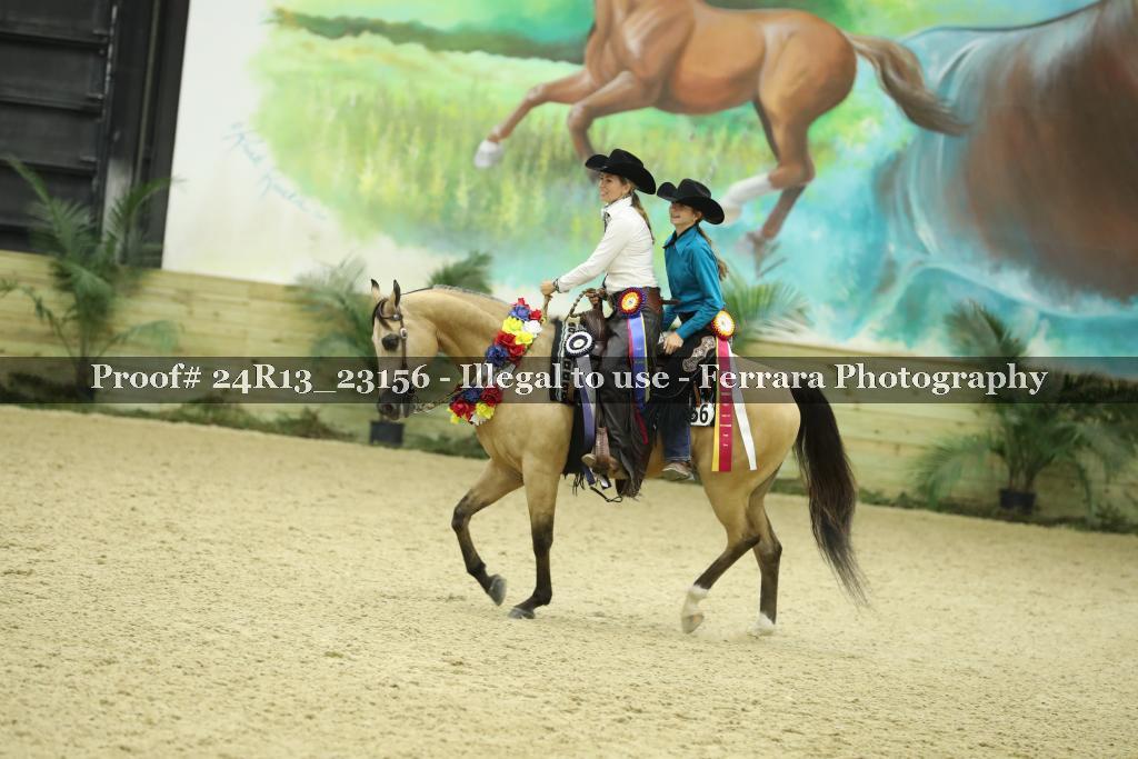 Proof 24R13_23156