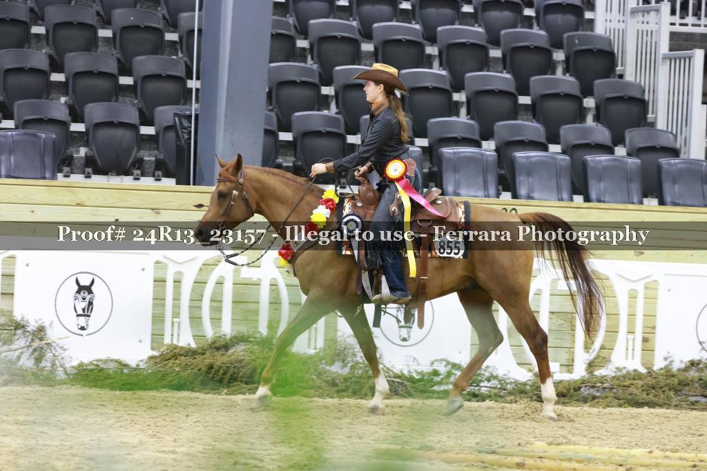 Proof 24R13_23157