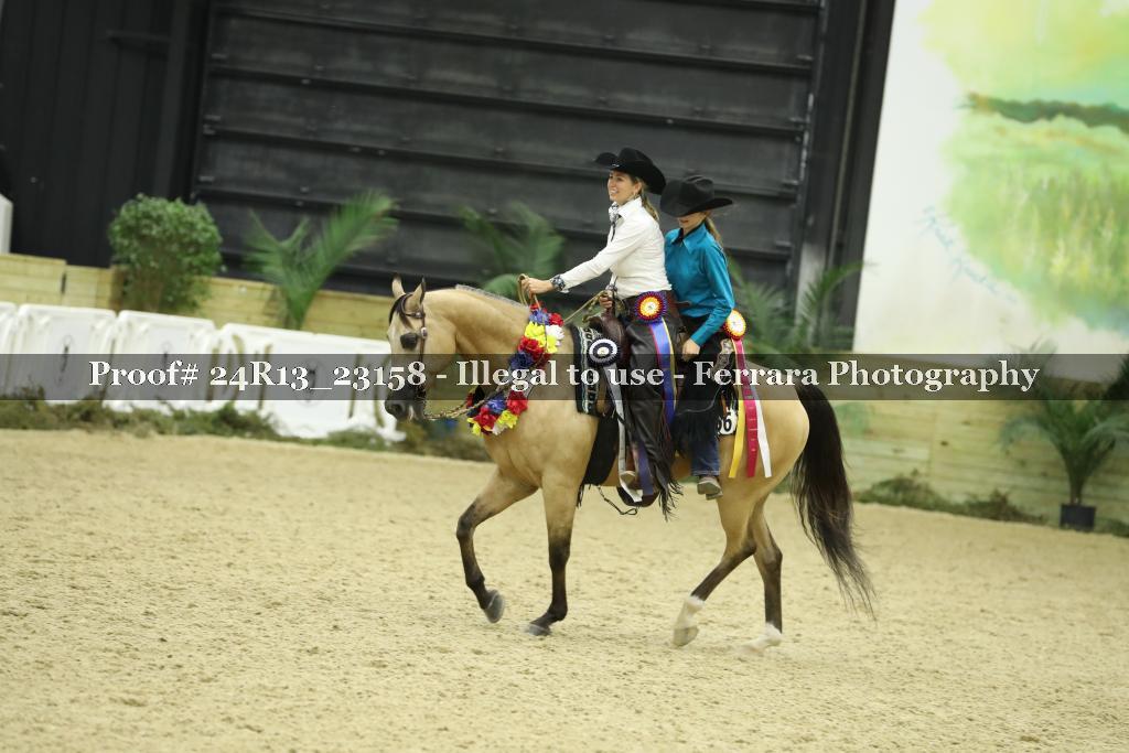 Proof 24R13_23158