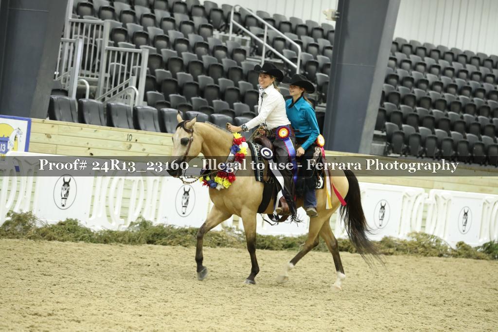 Proof 24R13_23160