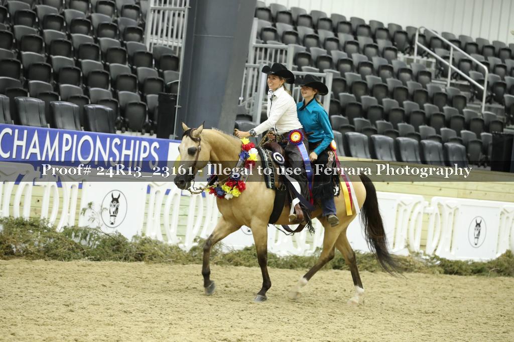 Proof 24R13_23161