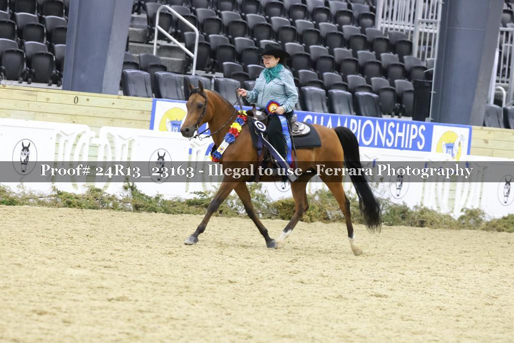 Proof 24R13_23163